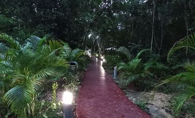 Departamento en Renta en Mayakoba, Playa del Carmen