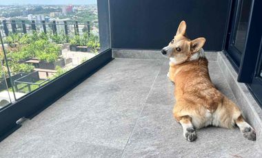 Departamento tipo Loft en renta en el Country