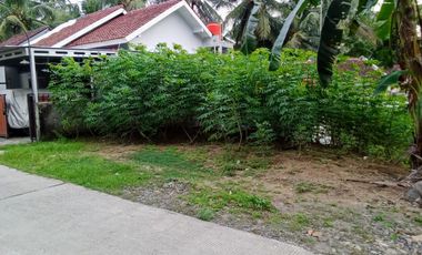 tanah di pengasih dekat wates kulon progo yogyakarta