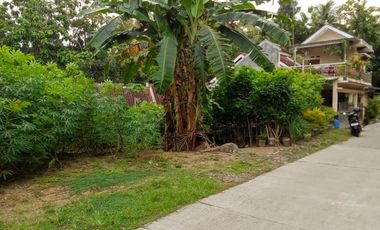 tanah di pengasih dekat wates kulon progo yogyakarta