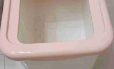 Disewakan Rumah Fully Furnished Strategis Siap Huni di Rawamangun Jakarta Timur