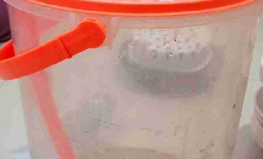 Disewakan Rumah Fully Furnished Strategis Siap Huni di Rawamangun Jakarta Timur