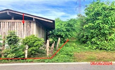 J12341 ขายบ้านเดี่ยว ตำบลทาสบเส้า อำเภอแม่ทา จังหวัดลำพูน