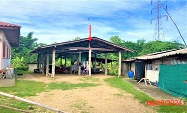 J12341 ขายบ้านเดี่ยว ตำบลทาสบเส้า อำเภอแม่ทา จังหวัดลำพูน