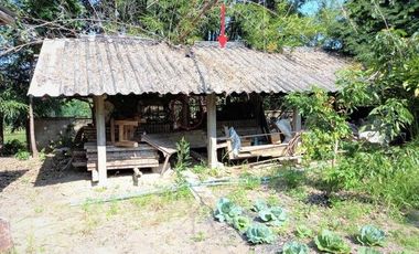 J15480 ขายบ้านเดี่ยว ตำบลเจดีย์ชัย อำเภอ ปัว จังหวัดน่าน