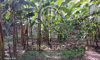 Venta de finca en vereda Lagunas, La Mesa Cundinamarca