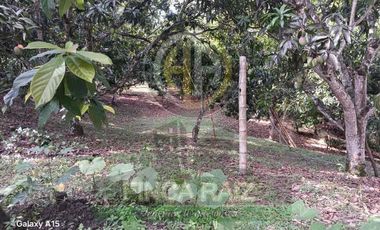 Venta de finca en vereda Lagunas, La Mesa Cundinamarca