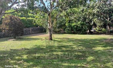 Venta de finca en vereda Lagunas, La Mesa Cundinamarca