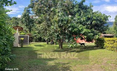 Venta de finca en vereda Lagunas, La Mesa Cundinamarca