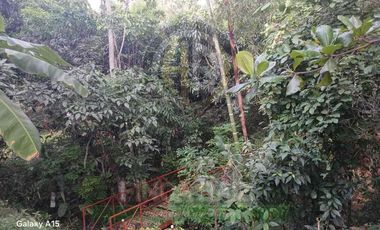 Venta de finca en vereda Lagunas, La Mesa Cundinamarca