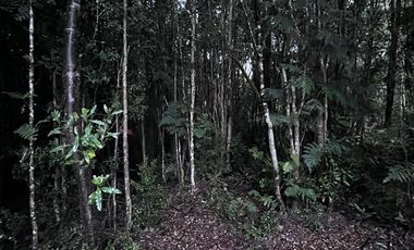 Arriendo Cabaña Amoblada Sector Chabelita Punucapa