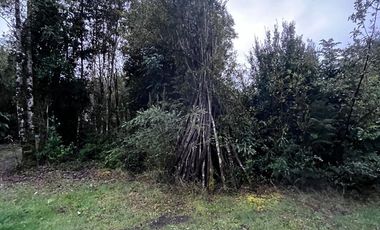 Arriendo Cabaña Amoblada Sector Chabelita Punucapa