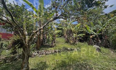 Venta de Casa Lote en La Mesa Cundinamarca-Vereda Zapata