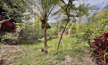 Venta de Finca en La Mesa Cundinamarca-Vereda Lagunas