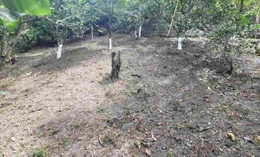 Venta de casa lote en La Mesa Cundinamarca-Vereda Zapata