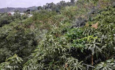 Venta de Casa Lote en La Mesa Cundinamarca-Vereda El Palmar