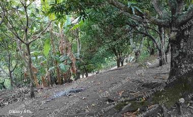 Venta de Casa Lote en La Mesa Cundinamarca-Vereda El Palmar