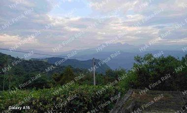 Venta de Casa Lote en La Mesa Cundinamarca-Vereda El Palmar
