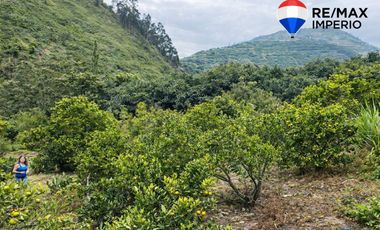 VENTA DE TERRENO CON CASA DE CAMPO EN PATATE