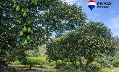 VENTA DE TERRENO CON CASA DE CAMPO EN PATATE