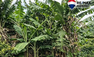 VENTA DE TERRENO CON CASA DE CAMPO EN PATATE