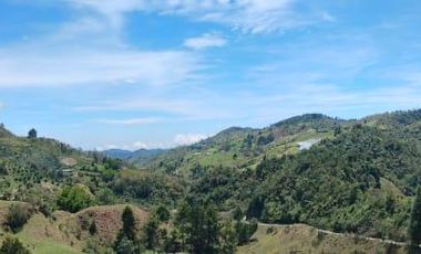 VENTA DE CABAÑA EN GRANADA ANTIOQUIA COLOMBIA