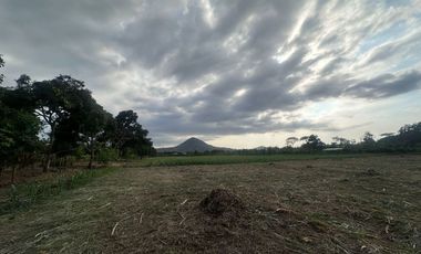 Venta de Finca en Portoviejo Colon
