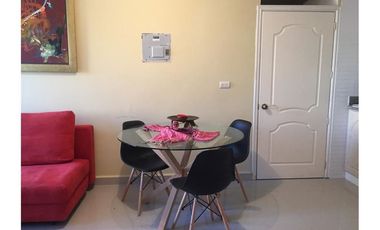 Renta de Suite Amoblada Zona Centro Sur