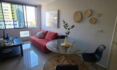 Renta de Suite Amoblada Zona Centro Sur