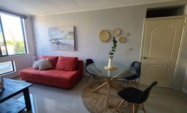 Renta de Suite Amoblada Zona Centro Sur