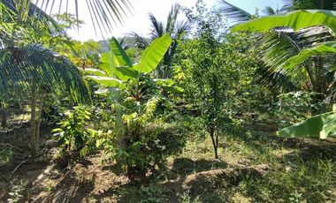 Venta de Quinta en Portoviejo