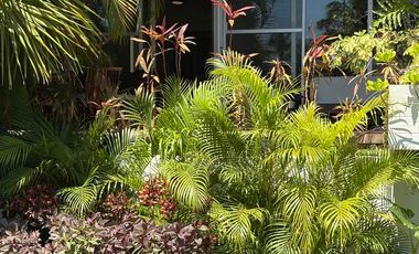 DEPARTAMENTO PLANTA BAJA AMUEBLADO CENTRO CANCÚN