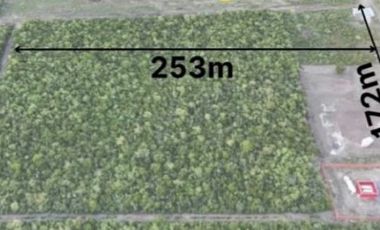 Terreno en renta, Cadereyta N.L