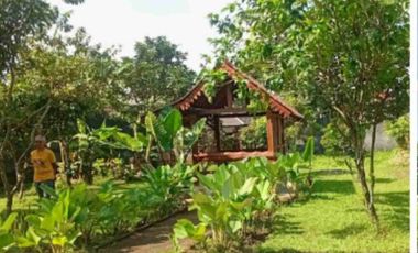 Dijual rumah joglo dekat AKMIL Magelang jateng