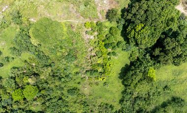 BONITA Y AMPLIA FINCA PARA TRABAJO (DOBLE PROPÓSITO) EN PURIFICACIÓN TOLIMA EN VENTA