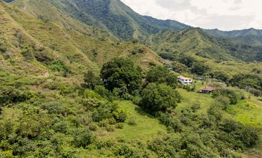 BONITA Y AMPLIA FINCA PARA TRABAJO (DOBLE PROPÓSITO) EN PURIFICACIÓN TOLIMA EN VENTA