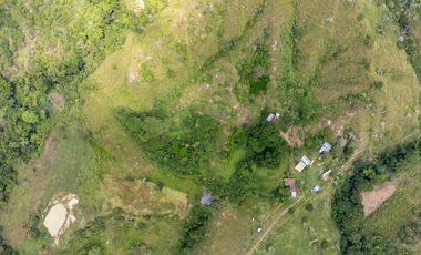 BONITA Y AMPLIA FINCA PARA TRABAJO (DOBLE PROPÓSITO) EN PURIFICACIÓN TOLIMA EN VENTA