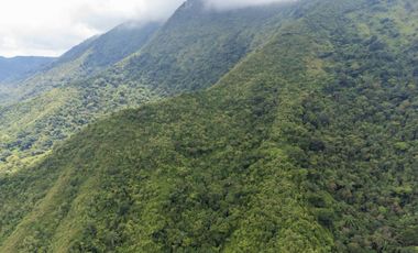 BONITA Y AMPLIA FINCA PARA TRABAJO (DOBLE PROPÓSITO) EN PURIFICACIÓN TOLIMA EN VENTA