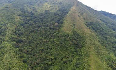 BONITA Y AMPLIA FINCA PARA TRABAJO (DOBLE PROPÓSITO) EN PURIFICACIÓN TOLIMA EN VENTA