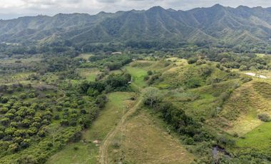 BONITA Y AMPLIA FINCA PARA TRABAJO (DOBLE PROPÓSITO) EN PURIFICACIÓN TOLIMA EN VENTA