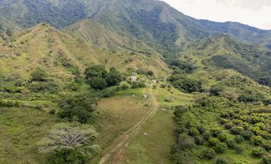 BONITA Y AMPLIA FINCA PARA TRABAJO (DOBLE PROPÓSITO) EN PURIFICACIÓN TOLIMA EN VENTA