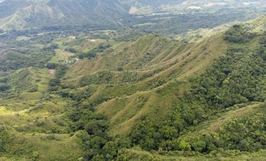 BONITA Y AMPLIA FINCA PARA TRABAJO (DOBLE PROPÓSITO) EN PURIFICACIÓN TOLIMA EN VENTA