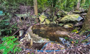 BONITA Y AMPLIA FINCA PARA TRABAJO (DOBLE PROPÓSITO) EN PURIFICACIÓN TOLIMA EN VENTA