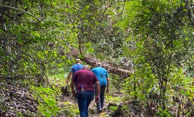 BONITA Y AMPLIA FINCA PARA TRABAJO (DOBLE PROPÓSITO) EN PURIFICACIÓN TOLIMA EN VENTA