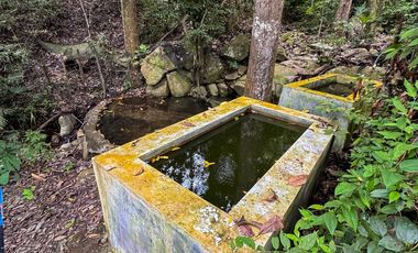 BONITA Y AMPLIA FINCA PARA TRABAJO (DOBLE PROPÓSITO) EN PURIFICACIÓN TOLIMA EN VENTA
