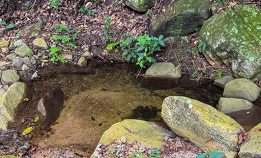 BONITA Y AMPLIA FINCA PARA TRABAJO (DOBLE PROPÓSITO) EN PURIFICACIÓN TOLIMA EN VENTA