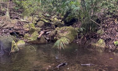 BONITA Y AMPLIA FINCA PARA TRABAJO (DOBLE PROPÓSITO) EN PURIFICACIÓN TOLIMA EN VENTA