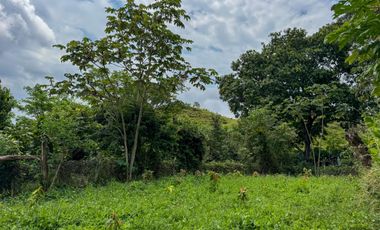 BONITA Y AMPLIA FINCA PARA TRABAJO (DOBLE PROPÓSITO) EN PURIFICACIÓN TOLIMA EN VENTA