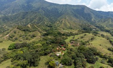 BONITA Y AMPLIA FINCA PARA TRABAJO (DOBLE PROPÓSITO) EN PURIFICACIÓN TOLIMA EN VENTA