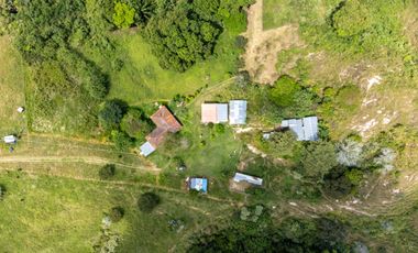 BONITA Y AMPLIA FINCA PARA TRABAJO (DOBLE PROPÓSITO) EN PURIFICACIÓN TOLIMA EN VENTA